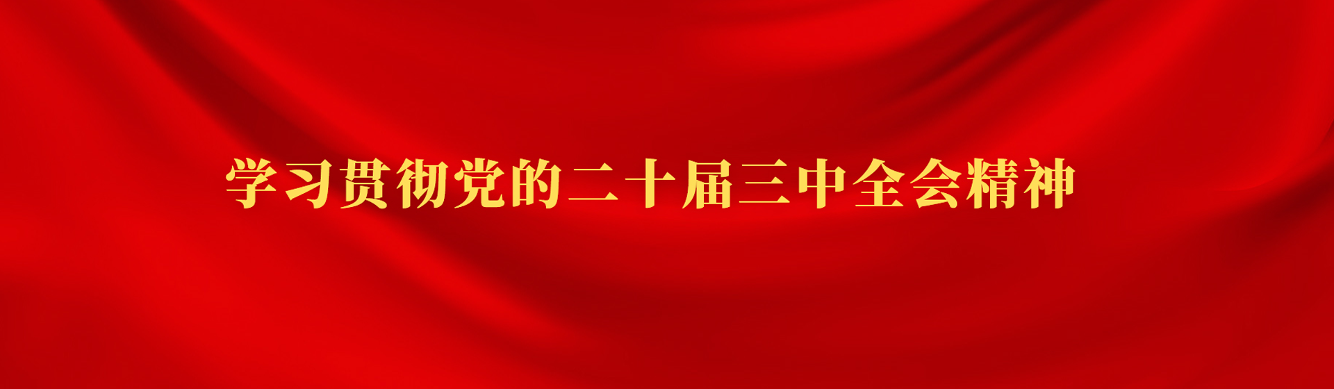 学习贯彻党的二十届三中全会精神
